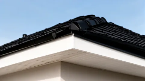 biala podbitka czarny dach