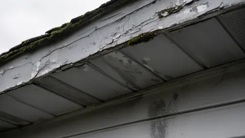 cena malowania podbitki