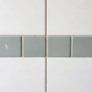 Czy Można Kłaść Płytki Na Farbę Emulsyjną