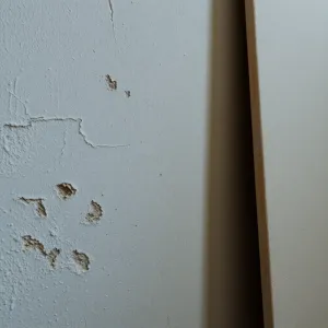 czy można ocieplać styropianem od wewnątrz