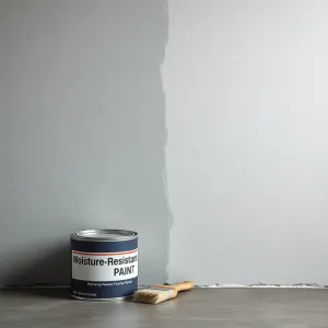 Czym pomalować ściany w piwnicy