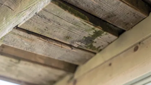 ile kosztuje malowanie podbitki