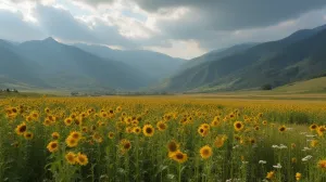 Jak wymienić żarówkę w tubie sufitowej
