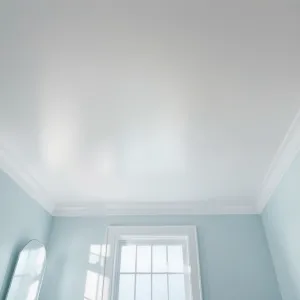 Jaka Farba Do Łazienki Na Sufit