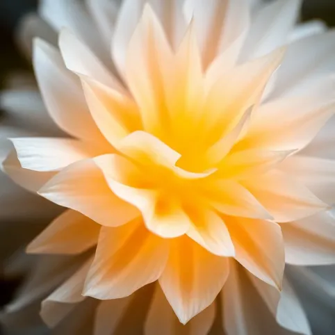 Obróbka ościeżnic drzwi wewnętrzne wykończenie cena