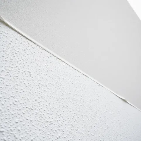 Styropian z elewacja